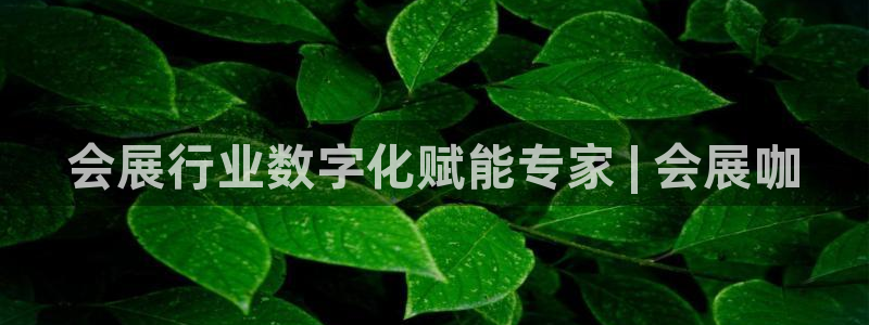 果博官网客服电话号码